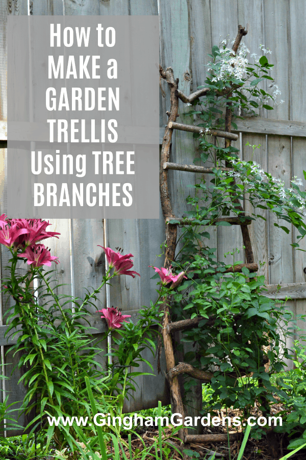 How to Make a Garden Trellis Using Tree Branches