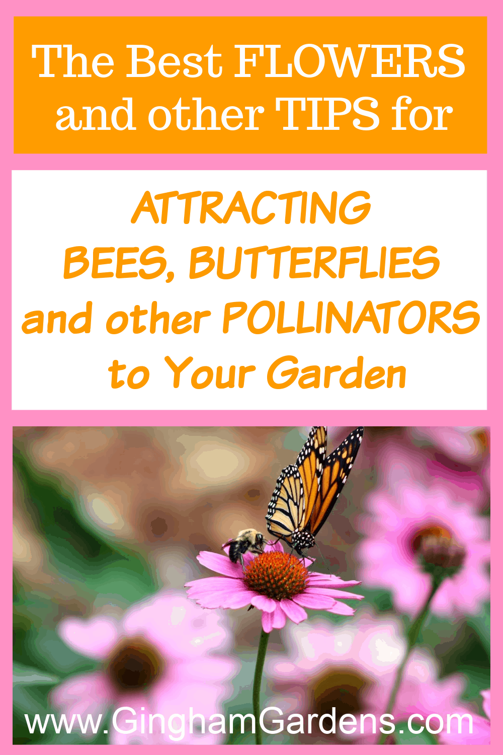 Image of a butterfly on a flower with text overlay - The Best Flowers and tips for attracting butterflies and other pollinators to your garden