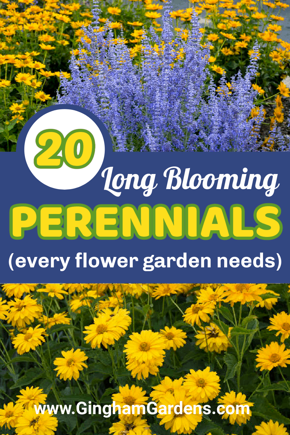 Image of Flowers with text overlay - 20 Classic Perennials