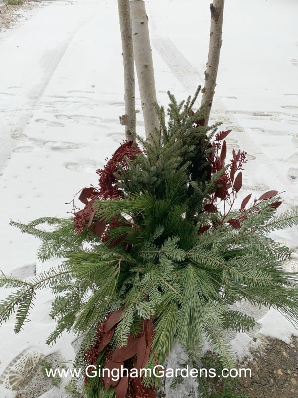 How to Arrange a Winter Container