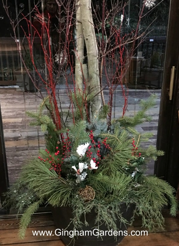 Winter Container Using Foraged Greens and Branches