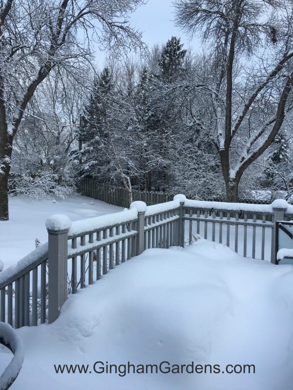 Winter in Minnesota - Winter Sowing