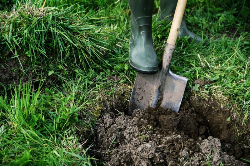 Image of Gardener Digging