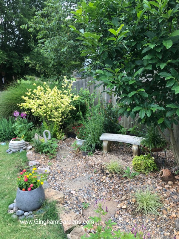 Image of a bench in a garden.