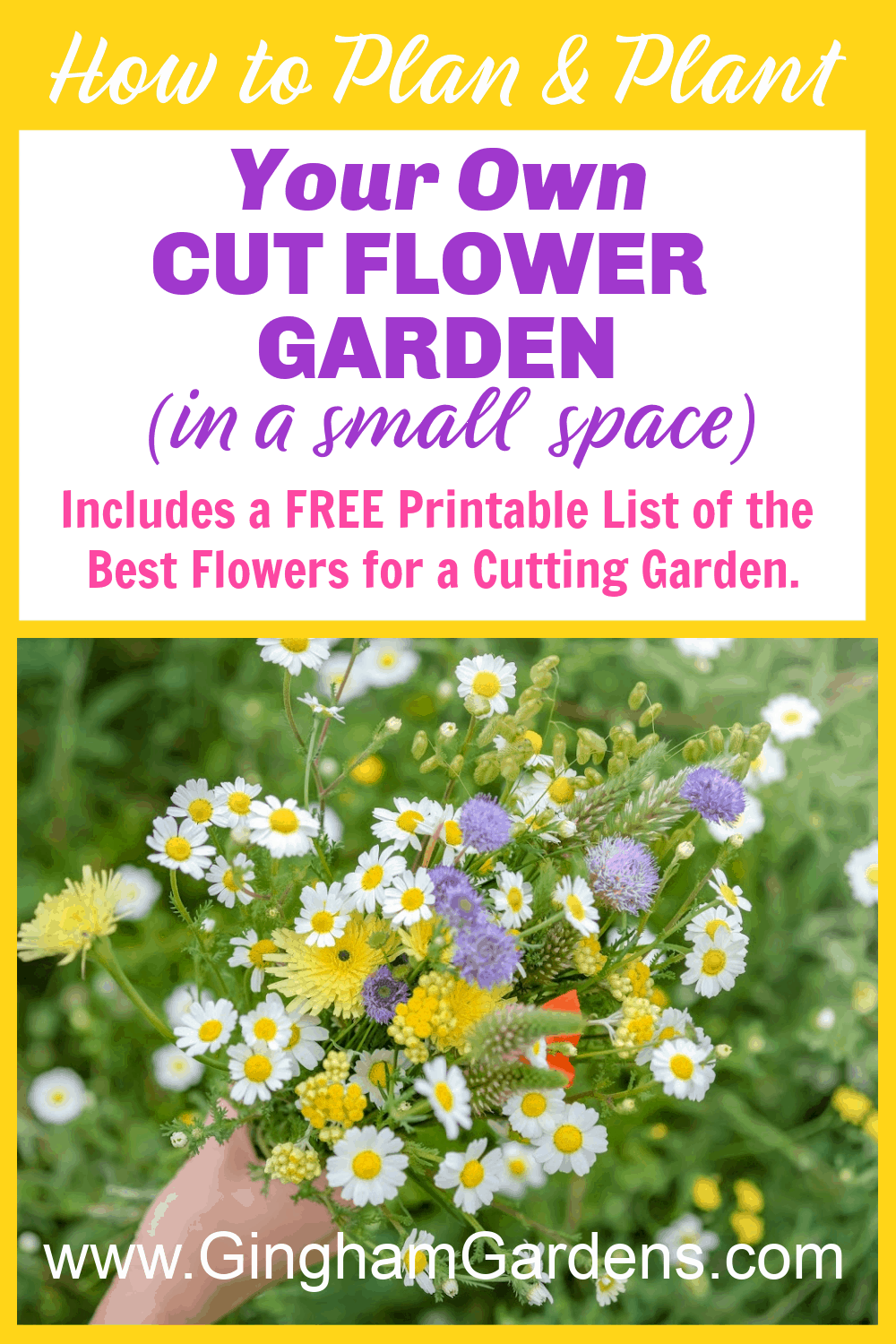 Image of Flowers with Text Overlay - How to Plan & Plant Your Own Cut Flower Garden