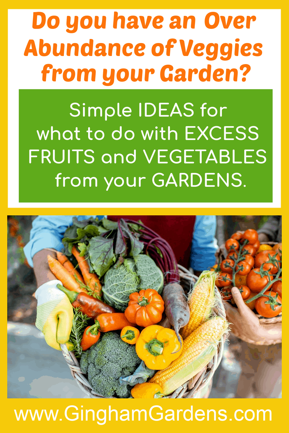 Image of Garden Produce with Text Overlay - What to do with excess fruits and vegetables from your gardens.