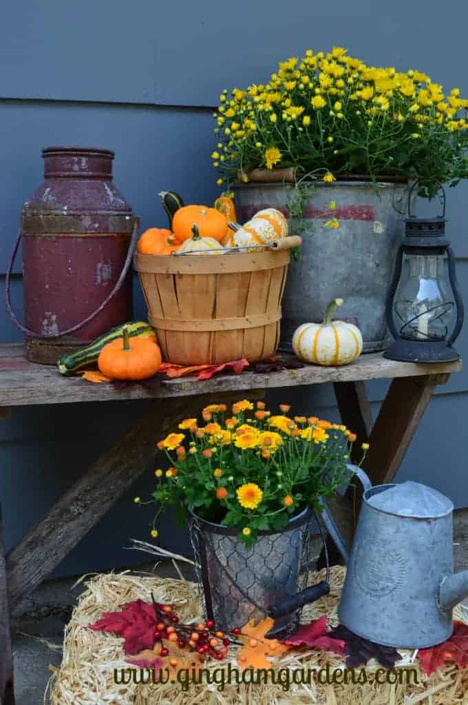 Image of an outdoor fall vignette