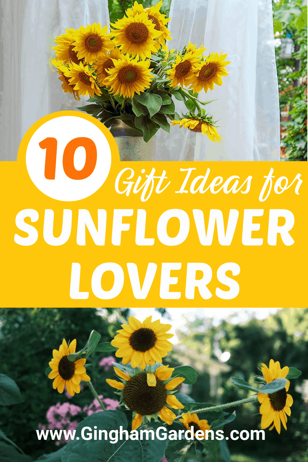 Images of Sunflowers with Text Overlay- 10 Gift Ideas for Sunflower Lovers
