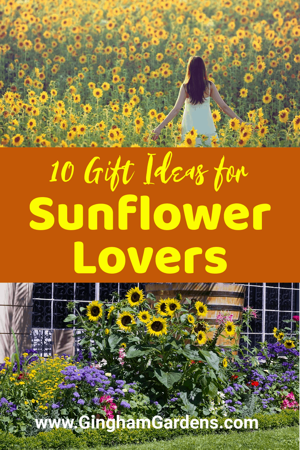 Images of Sunflower Gardens with Text Overlay - 10 Gift Ideas for Sunflower Lovers