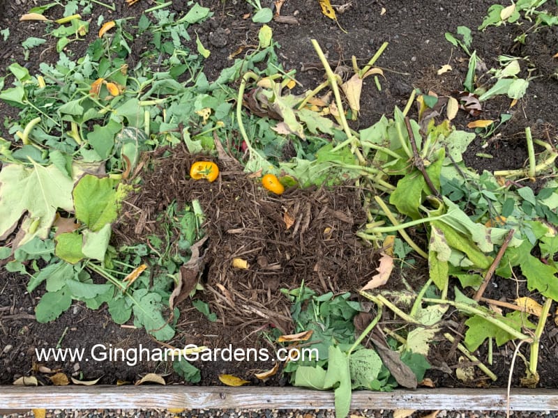 Image of plant waste in a gardening bed