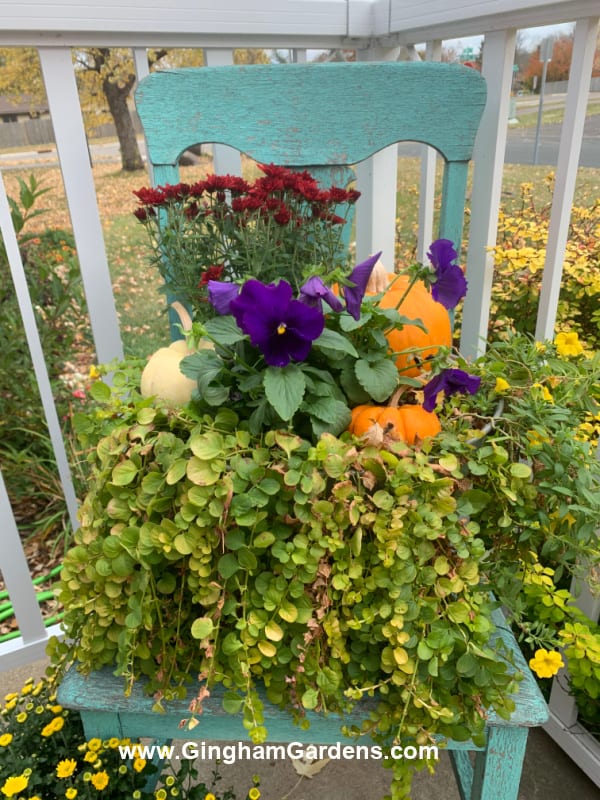 Image of vintage chair with fall flowers and pumpkin