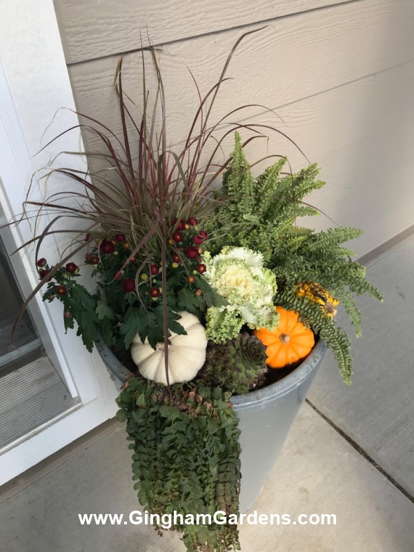 Image of a fall front porch planter