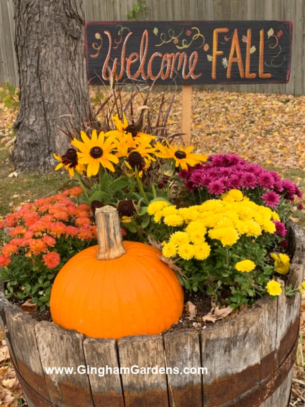 Image of a fall planter with flowers