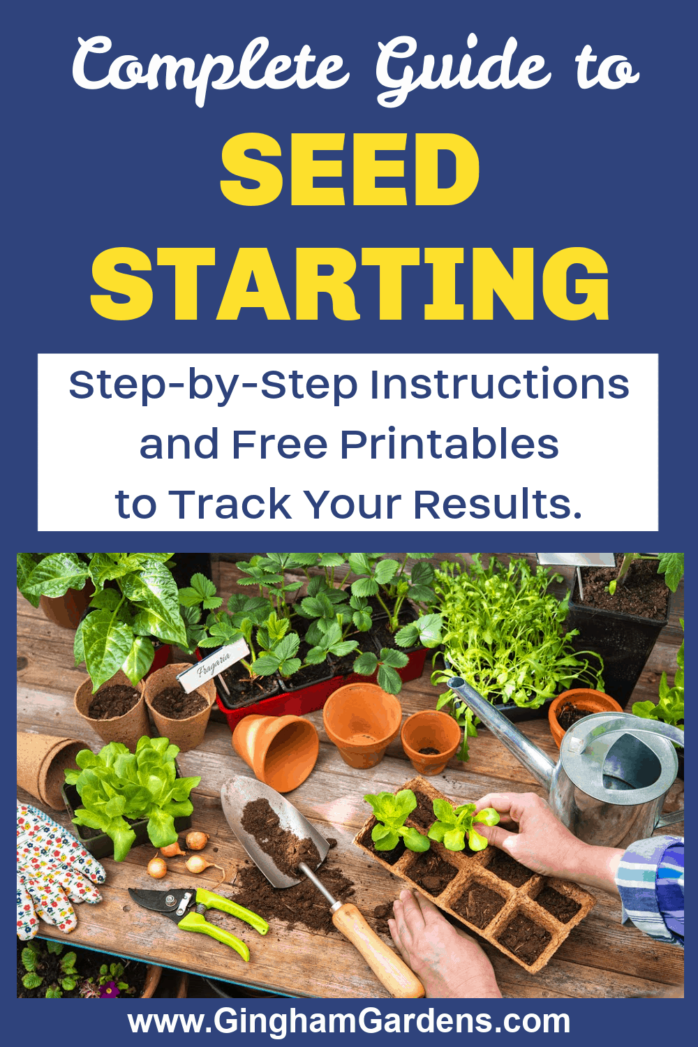 Image of Seedlings and Seed Starting Supplies with text overlay - Seed Starting