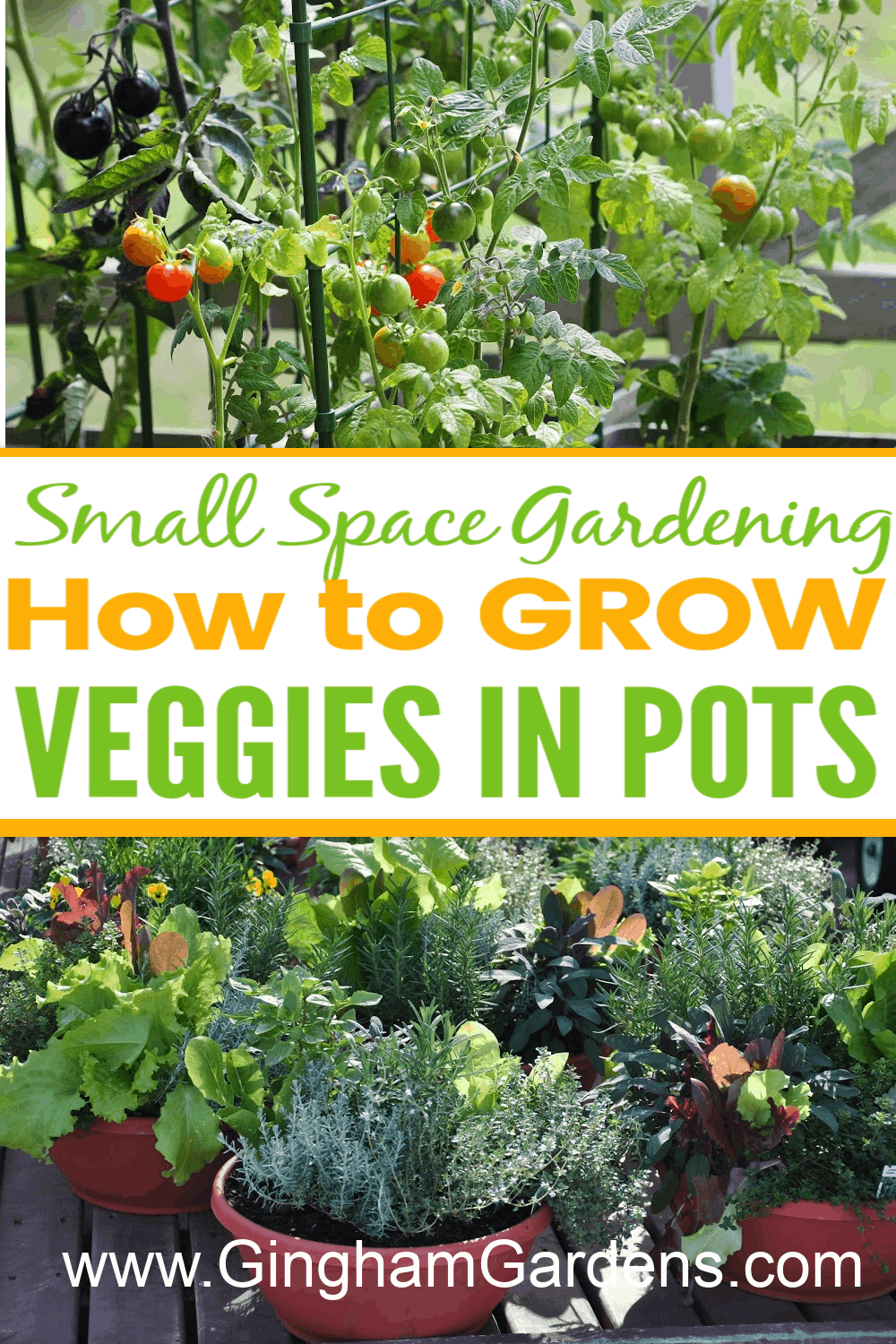 Images of Veggies growing in pots with text overlay How to Grow Veggies in Pots