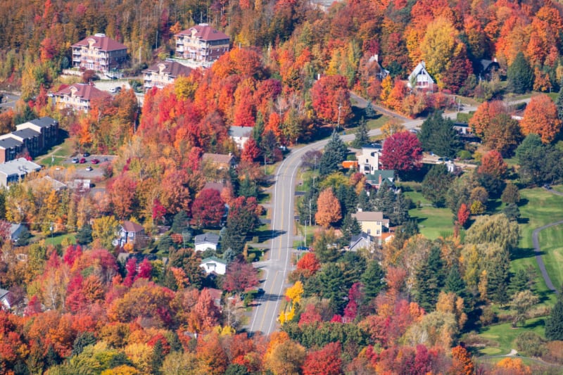 Image of a neighborhood fall landscape scene.