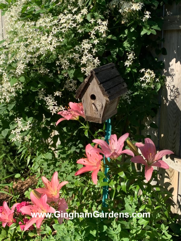 Birdhouse on a stake with lilies and silver lace vine.