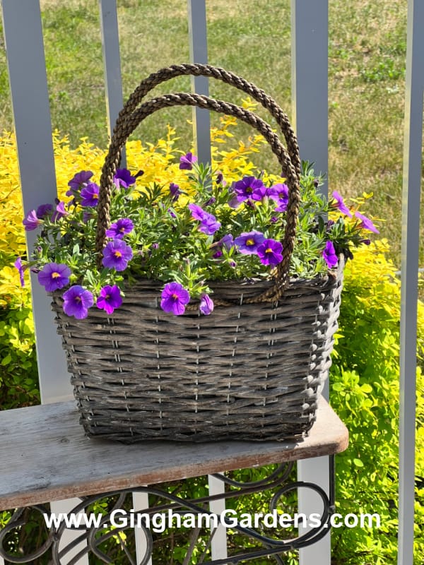 Purse wicker basket flower planter