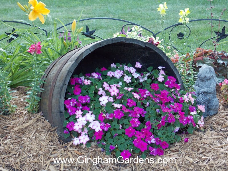 Whiskey barrel on its side with flowers spilling from it.