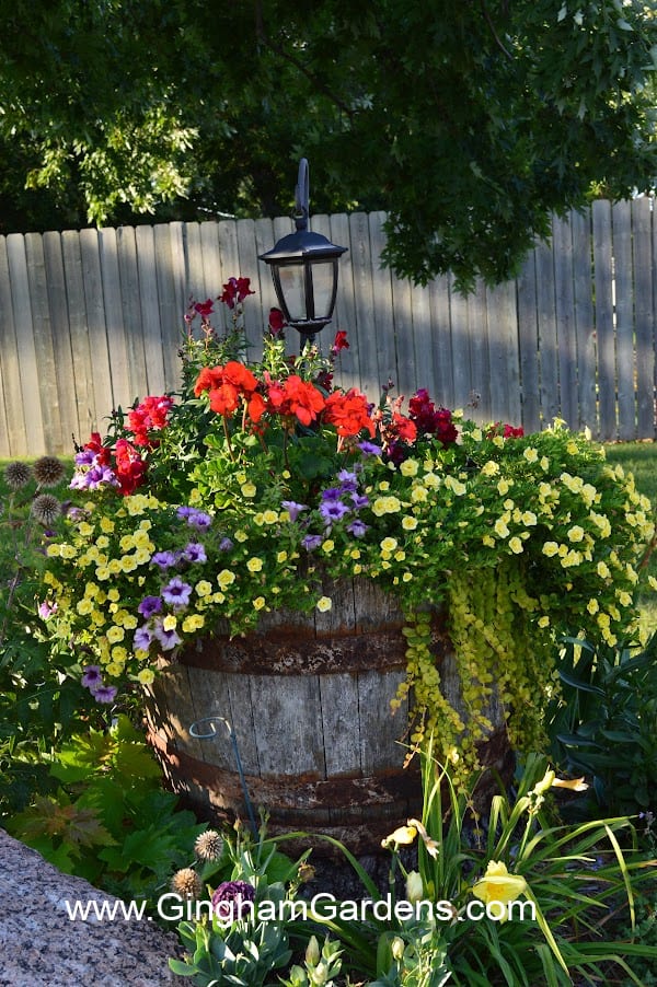 Whiskey barrel used as a flower planter