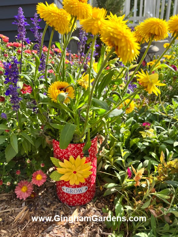 Red can with yellow flowers planted in it.