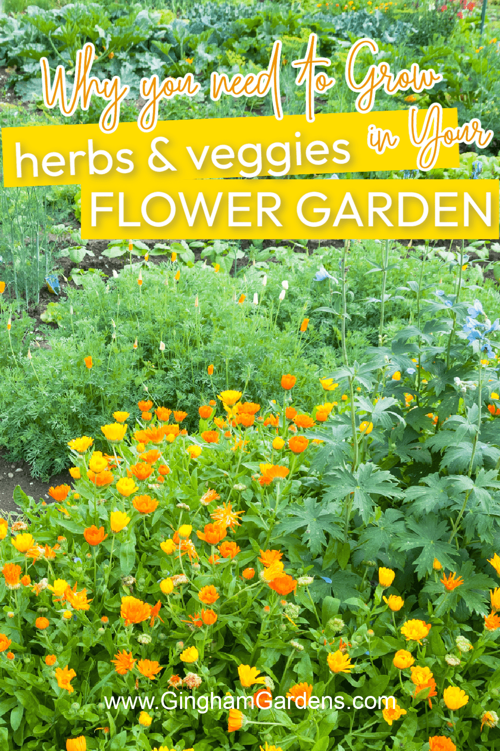 Flower and Vegetable garden with text overlay- Why you should add herbs and veggies to your flower garden