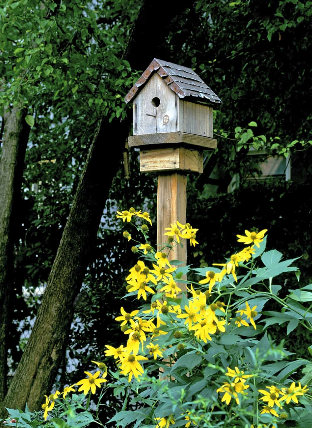 Birdhouse in a flower garden.
