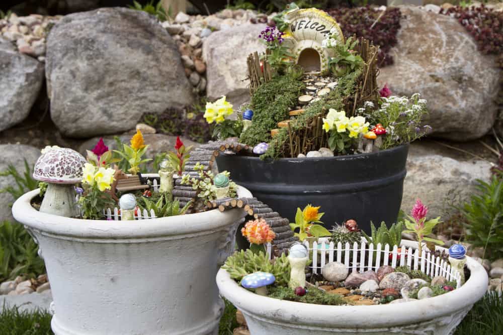 Fairy Garden in 3 containers.