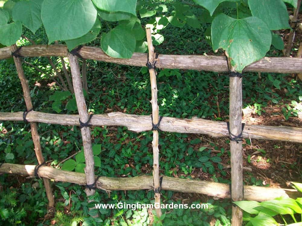 Fence in a garden made from tree branches.