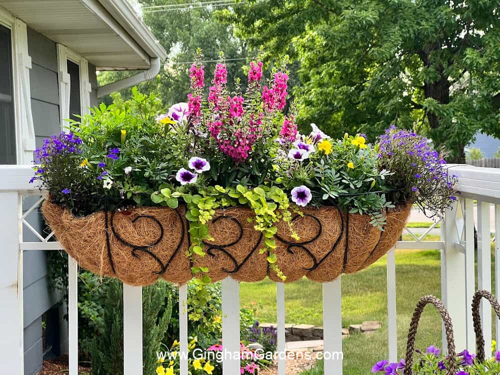 Porch rail planter filled with colorful flowers.
