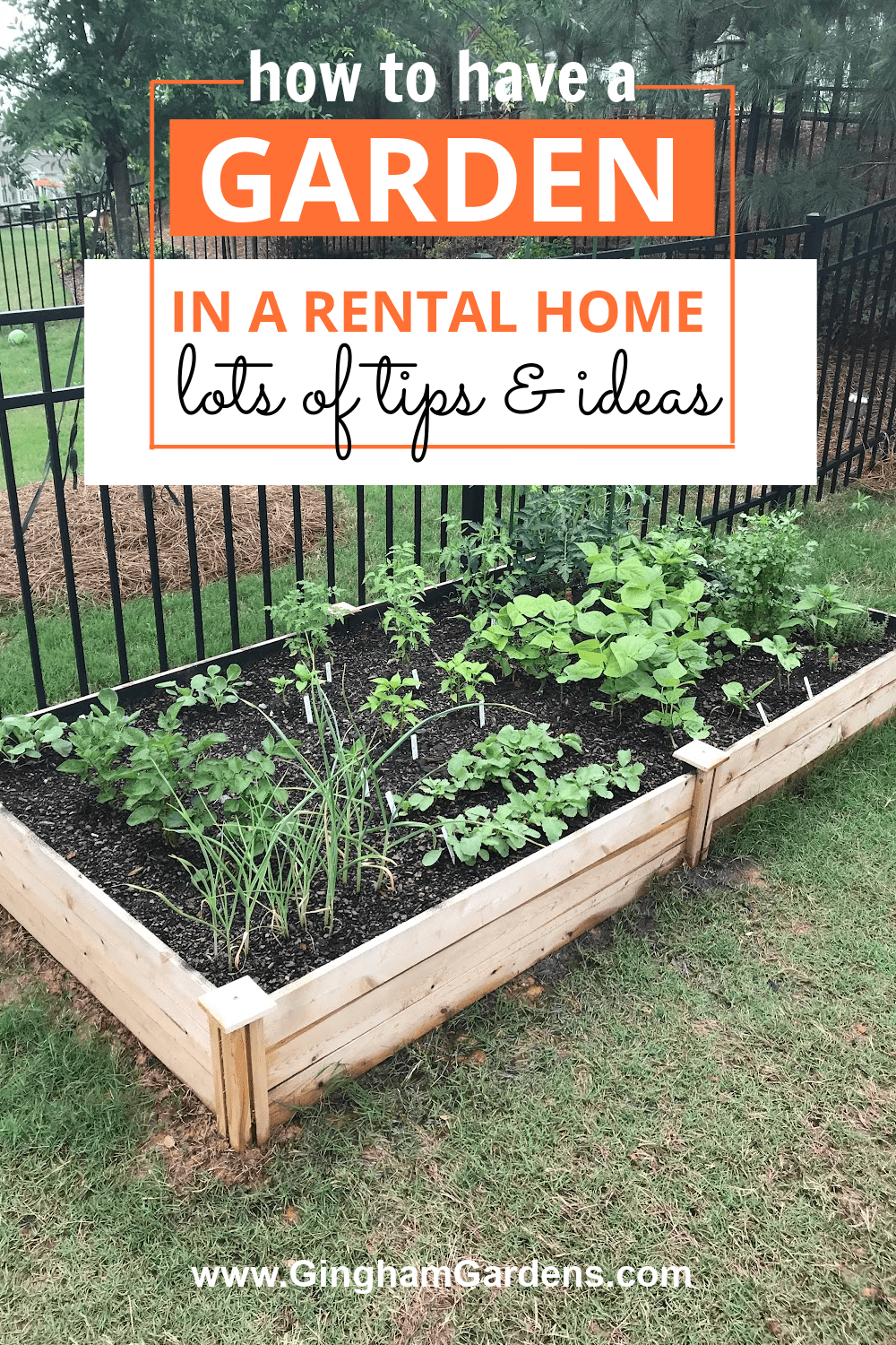 Image of a raised bed garden with text overlay - how to have a garden in a rental home