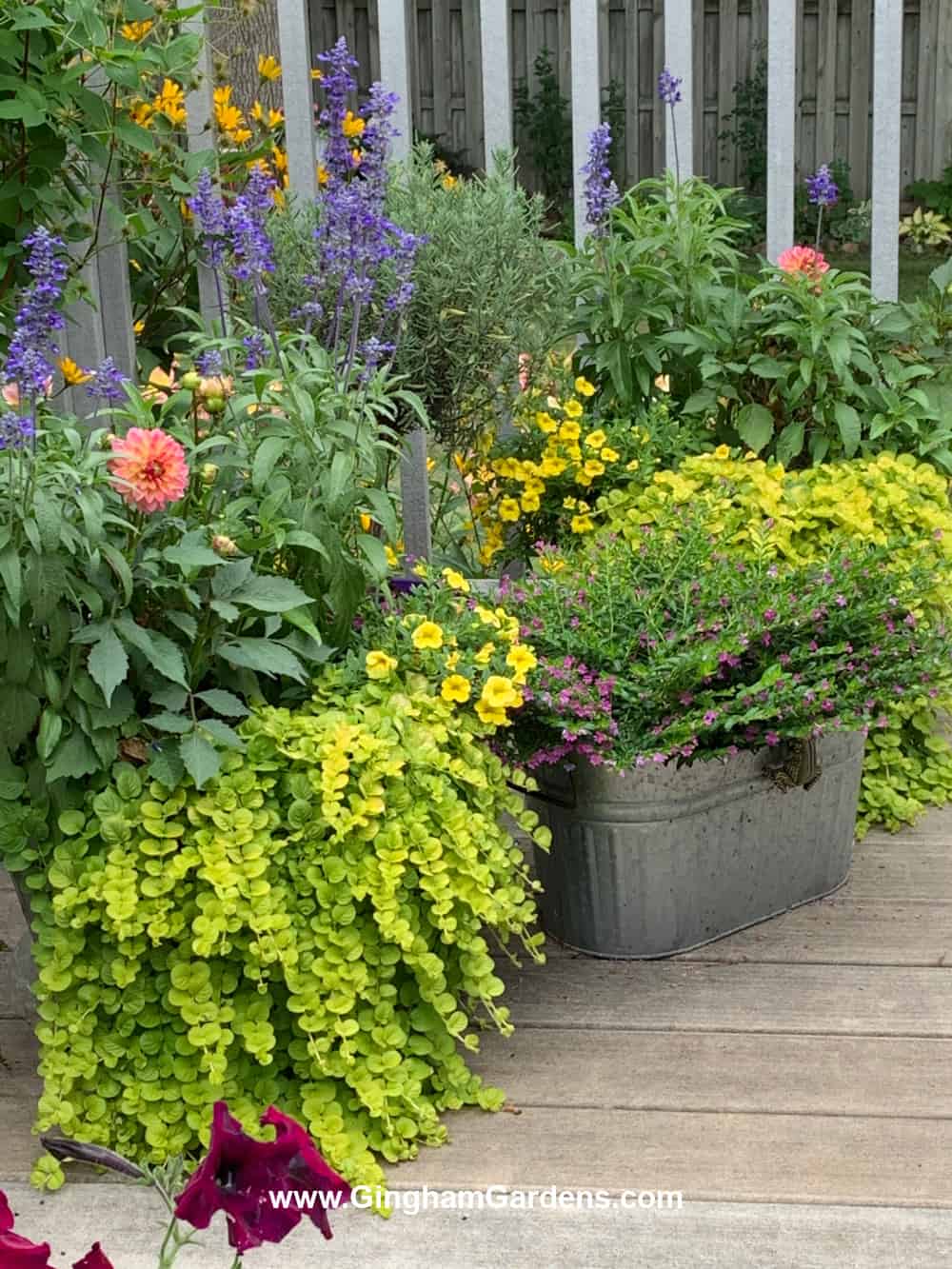 Colorful flower planters on a deck.
