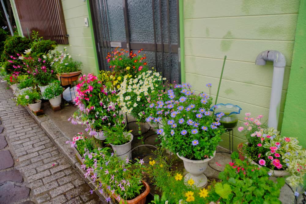 Colorful flower pots on the patio of a small home.