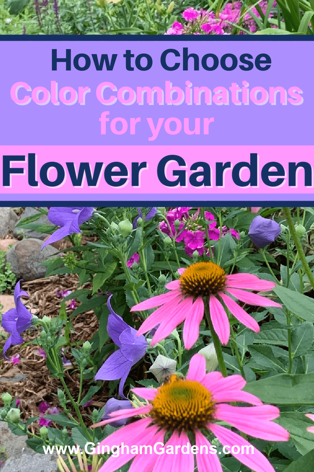 Colorful flower garden with text overlay - Winning Color Combinations in a Flower Garden