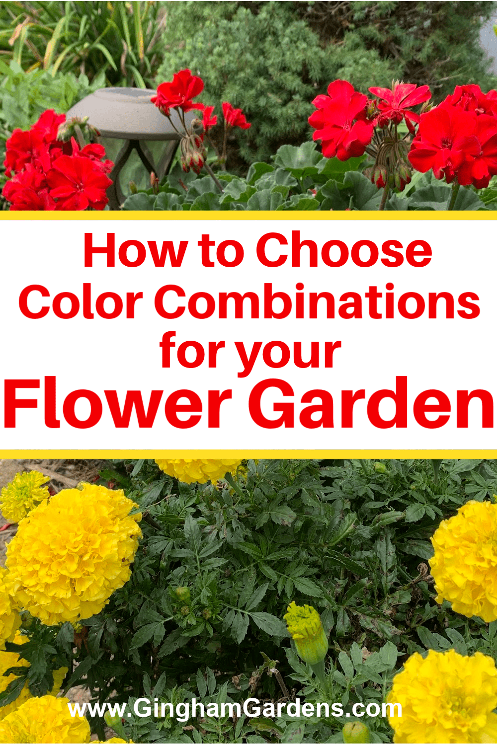 Image of red geraniums and yellow marigolds with text overlay - How to Choose winning Color Combinations for a Flower Garden