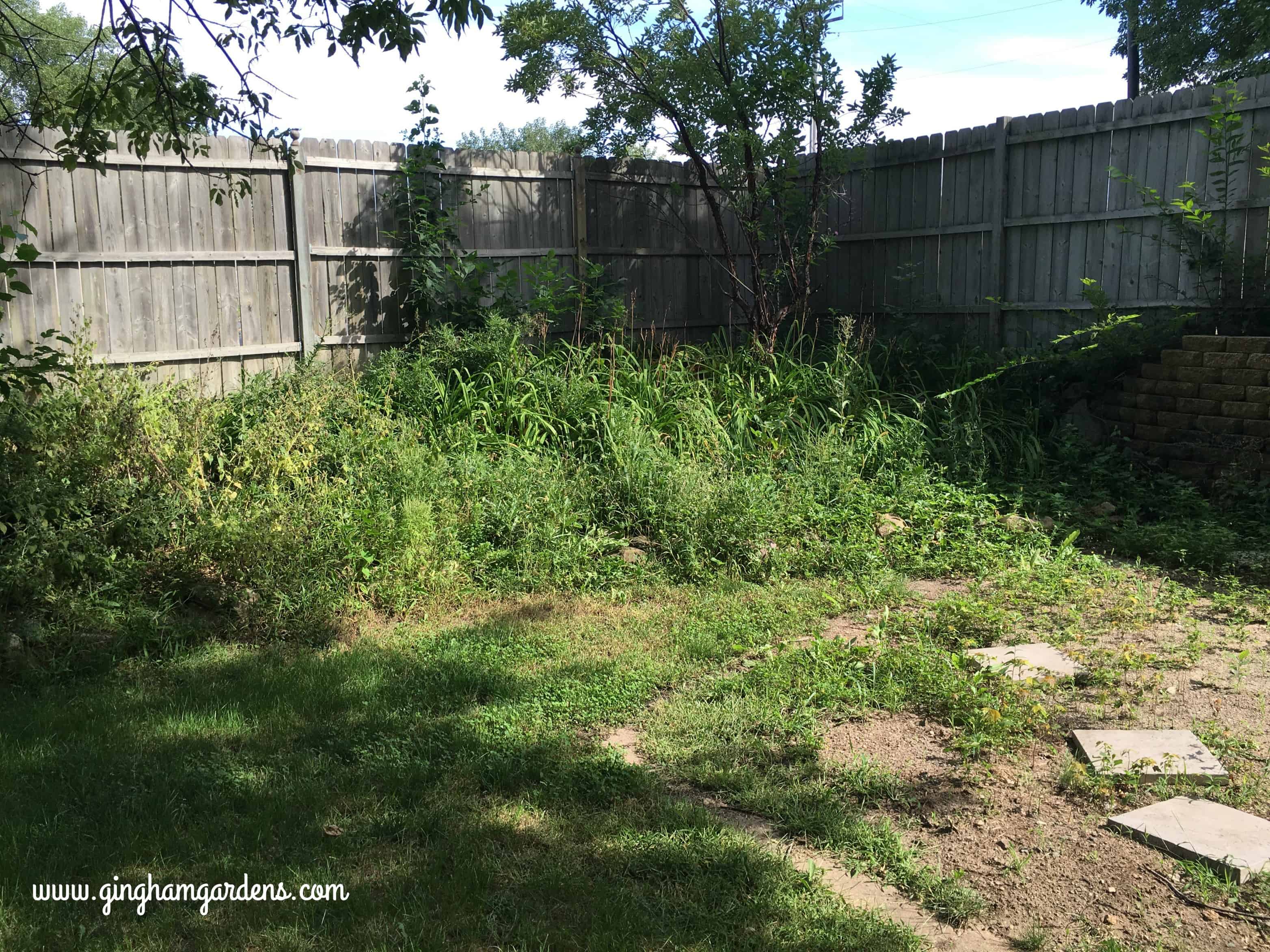 Garden Makeover From A Weed Pit To A Beautiful Garden Updated Gingham Gardens