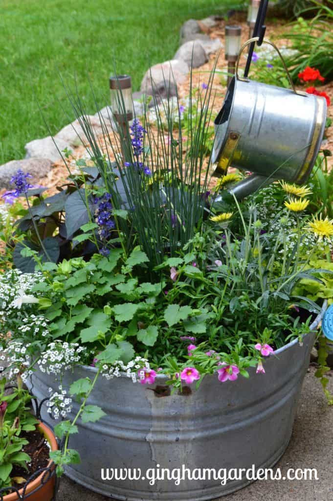 Creative Flower Container Gardening - Old aluminum wash tub filled with annuals.