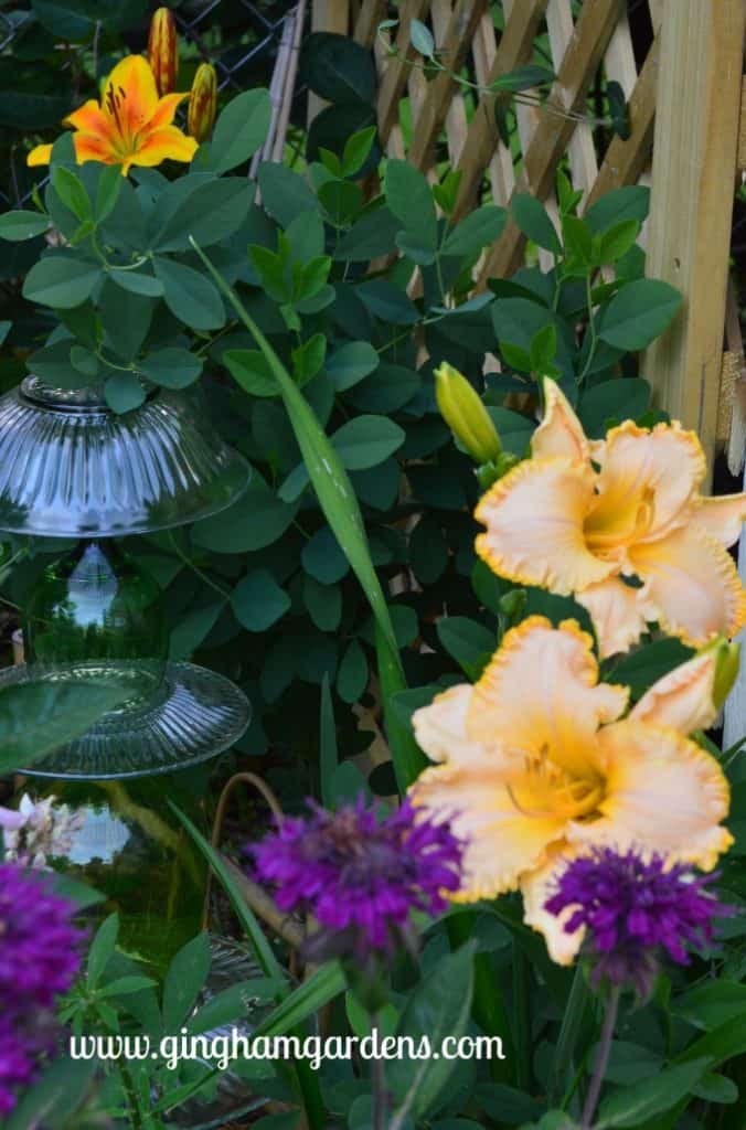Minnesota Flower Gardens | Perennial Gardening | Flower Gardening Ideas