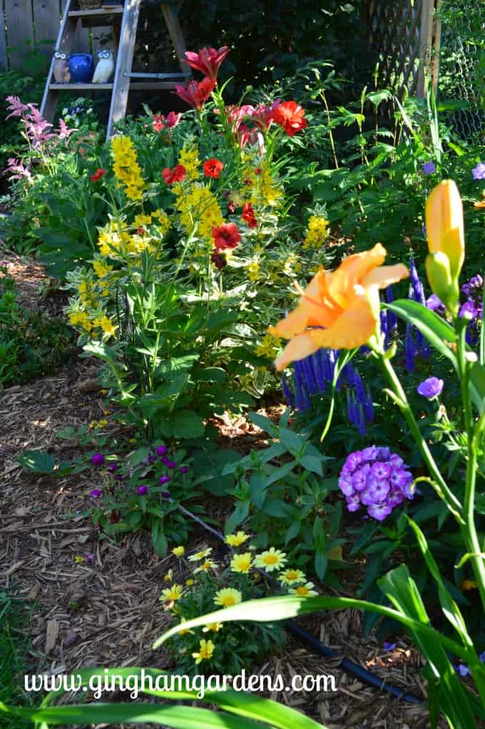 Minnesota Flower Gardens | Perennial Gardening | Flower Gardening Ideas