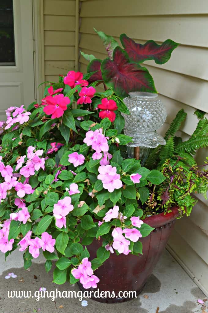 Flower pot filled with flowers for the shade.