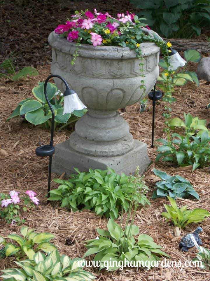 Urn filled with impatiens surrounded by hostas.