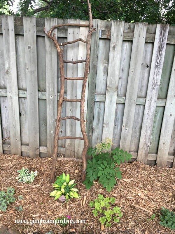 DIY Garden Decor Using Tree Branches