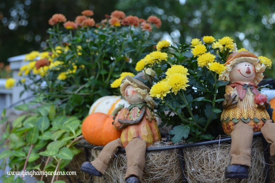 Tips on Transitioning Container Gardens to Fall