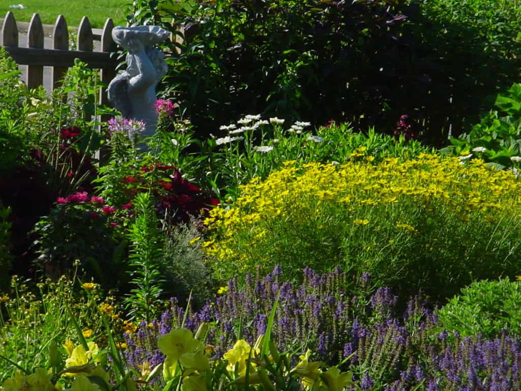 Flower Garden - Gingham Gardens Readers' Garden Tour