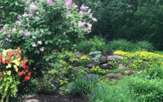 Spring Garden - Gingham Gardens Readers' Garden Tour