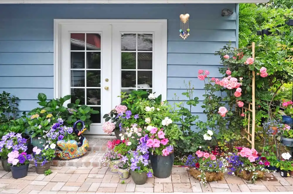 Image of a blue house with lots of flowers on the patio