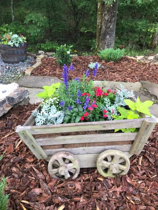 Old potato cart filled with flowers