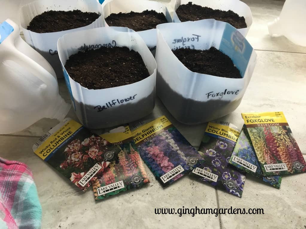 Winter Sowing (Yes You Can Garden in Winter)