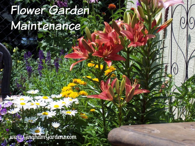 Flower Garden Maintenance