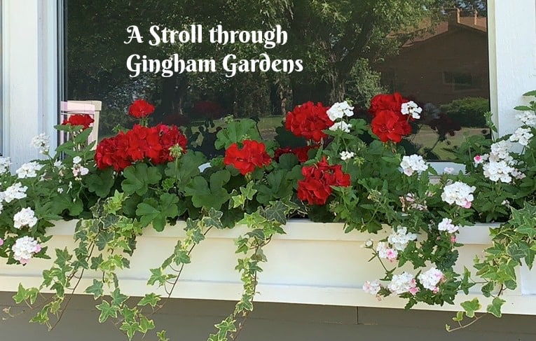 Home Garden Tour (A Virtual Stroll Through Gingham Gardens)